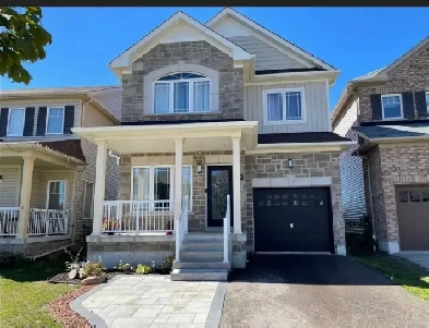 Rooms for Rent in Detached home - Whitby Image# 1
