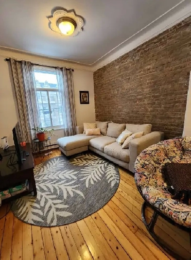 Appartement 4 1/2 métro St-Henri Image# 1