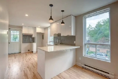 Appartement à aire ouverte entièrement rénové à Rosemont Image# 1