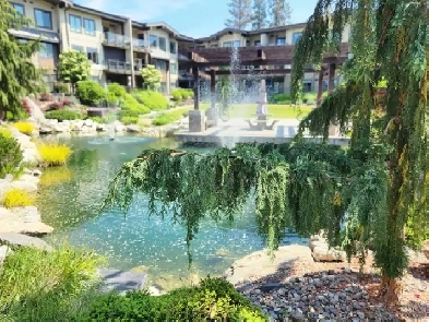 Siena at Sarsons - 2 bed, 2 bath apartment Image# 3
