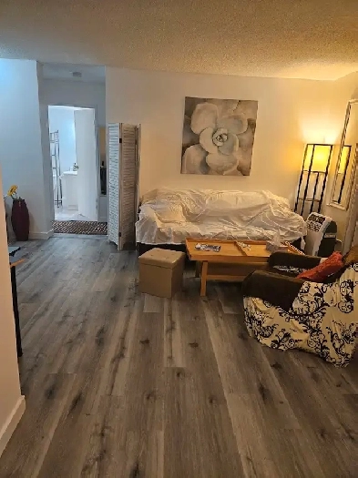 Condo apt for rent. Image# 1