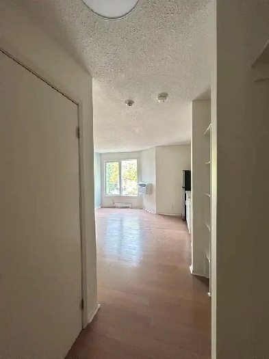 Studio/Bachelor Apartment Image# 4
