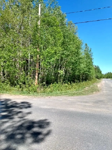 CORNER LOT FOR SALE   1 ACRES Image# 3