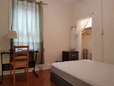 Room Available Downtown Near Carleton U and Glebe Image# 6