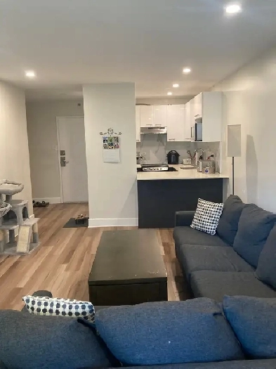 Downtown Apt - 3 ½ rooms 615 sqft - 2 min from Guy Concordia Image# 6