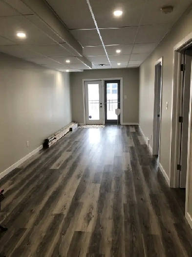 One bedroom - walk out basement Image# 1