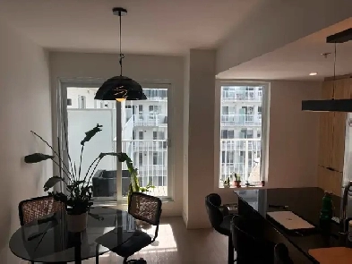 Appartement 3 1/2 à louer, MONTCALM Image# 17