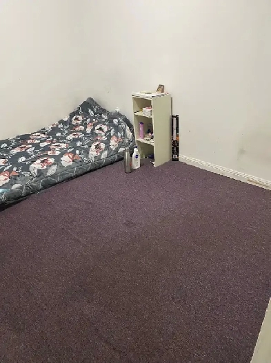 Room for rent available for one girl only Image# 1