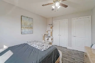 Private Room available to rent immediately in Brampton Image# 1