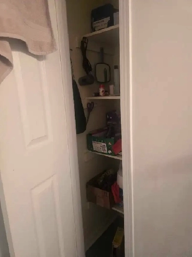 rent 1 bedroom basement apartment in house Image# 1
