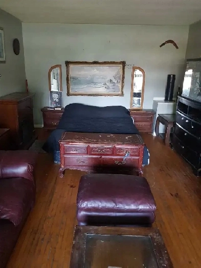 available now double room walk to college or rvh Image# 1