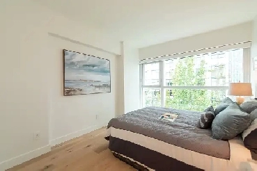 Stylish and Fully Furnished Room at 1338 Homer Street | NOW Image# 3