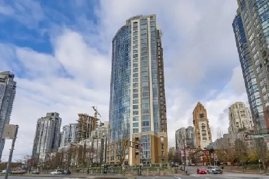 Room for Rent! AVAILABLE NOW – Move-In Ready! Image# 5