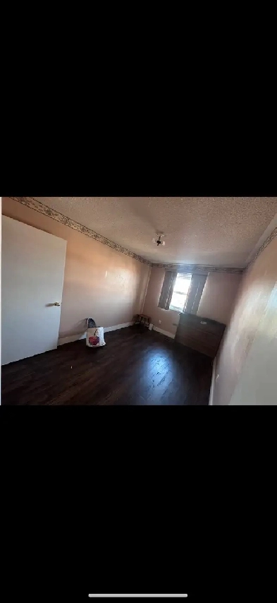 Room for rent near Sheridan College Image# 3