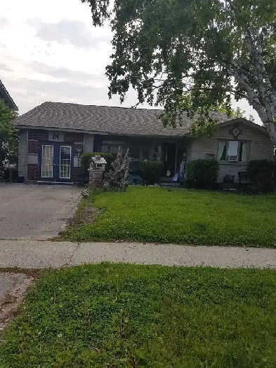 summer months available now 500 Image# 1