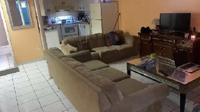 Room available to rent for a Girl near Sheridan College Image# 2