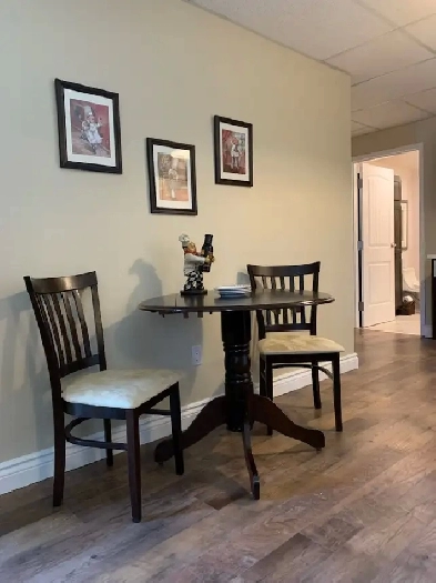 FULLY FURNISHED ONE BEDROOM APARTMENT Image# 1