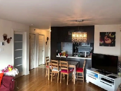 Magnifique Condo avec Stationnement intérieur Image# 2