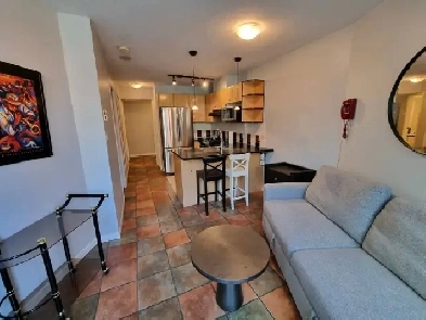 Unfurnished or Furnished 1 Bed 1 Bath Yaletown Condo w/Lrg Patio Image# 2