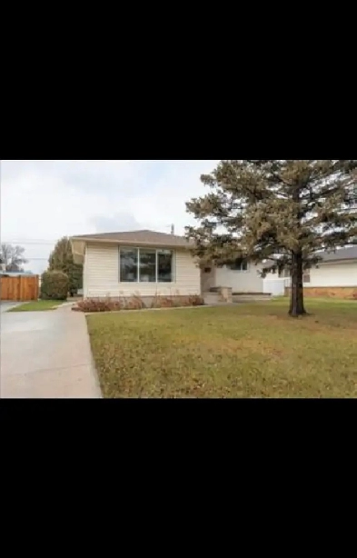 Private room for rent Image# 1