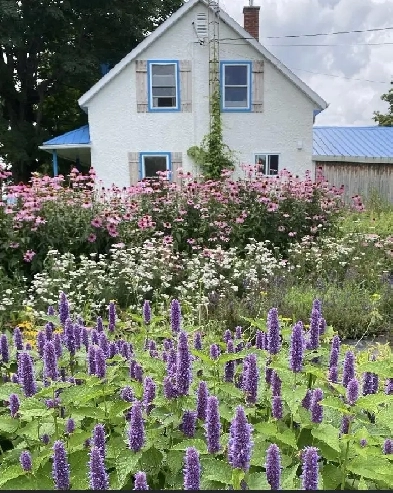 Maison de campagne à vendre - entièrement rénovée Image# 1