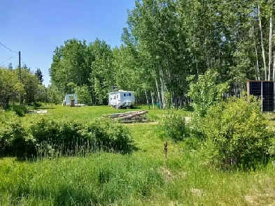 1/2 acre lot at Buck Lake Image# 3