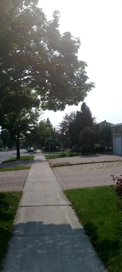 Room rentals Image# 1