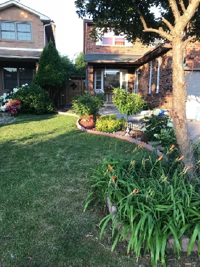 Square1,UTM,Sheridan,1 basement room with private toilet,parking Image# 1