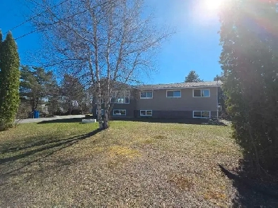 131 Kierstead Dr. Miramichi, NB 3 2 Bdm Home! Image# 4