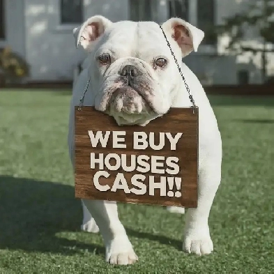 Searching for a fixer-upper Image# 1