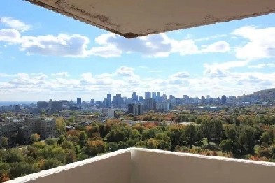 Bel appartement 3 1/2 vis-à-vis du Parc Lafontaine Image# 1