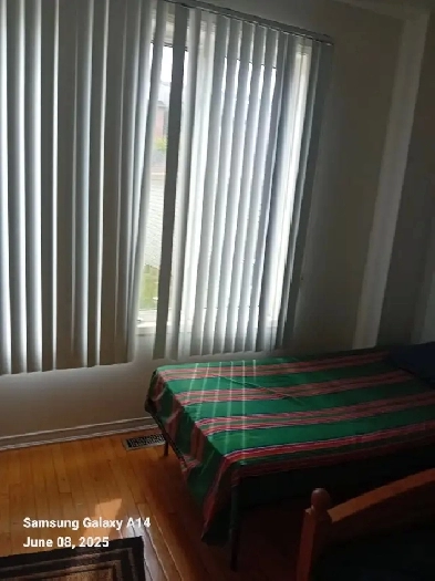 room for rent (Village by York University) Image# 1