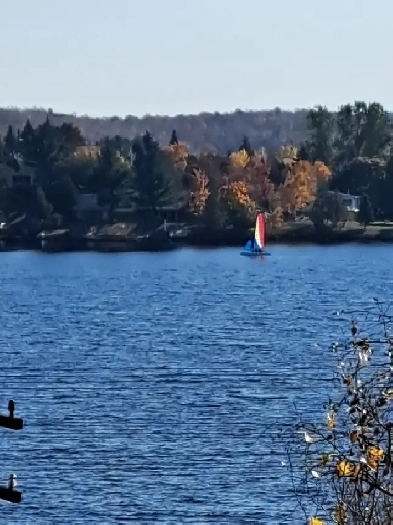 Bedroom for rent Image# 1