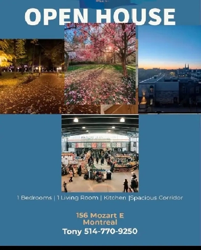 Visite Libre Mardi Soir entre 18 hr et 19:30 Image# 1