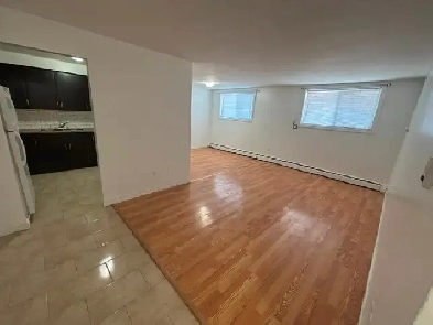 1 Bedroom Lower Level Apartment on Queenston, Montcalm Image# 1