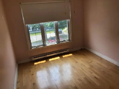 Grand 51/2 à louer Image# 1