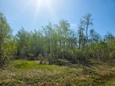 0 Raymond Giroux Drive, La Broquerie Image# 1