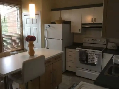 Logement lumineux meublé et équipé avec 2 chambres fermées Image# 3