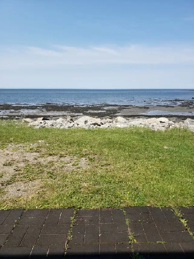 Logement 4-1/2 avec vue sur le Fleuve St-Laurent Image# 1