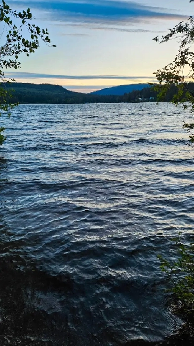 Railway Road B & B, summer on Shawnigan Lake. Image# 7