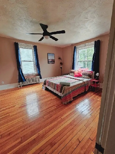 1  Bedroom Fully Furnished Apartment Image# 1