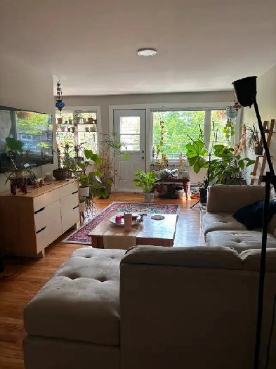 2 bedroom 1 bathroom apartment available July 1st Image# 8
