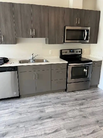 316-1659 Trans Can Hwy E - 1 Bedroom Apartment - 1600 per month Image# 2