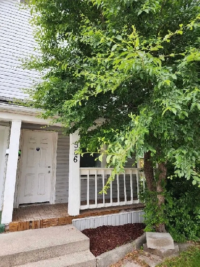 Renovated & Pet-Friendly 1 Bed   Den in East Elmwood! Image# 8