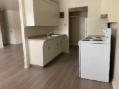 ELMWOOD AREA (fully renovated)  LARGE 1 BDRM Image# 8