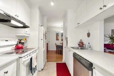 LONGUE DURÉE OU COURTE, APPARTEMENT/CONDO AVEC 2 CHAMBRES Image# 4