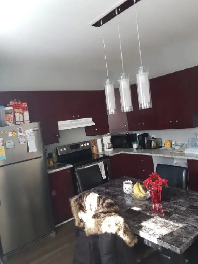 4 ½  Rénové style condo. 2212 Ave. Georges-V, Montréal-Est Image# 1