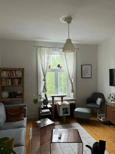 4 1/2 sur plateau Mont-Royal - 1er Juillet 2025 Image# 1