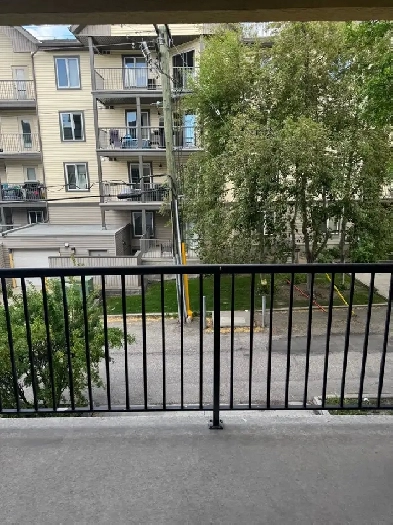 Bright Room   Private Bathroom –Roommate Wanted (Chinook Image# 1