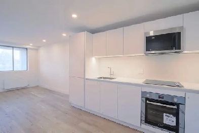 Renovated one bedroom near McGill - ID 3988 Image# 1